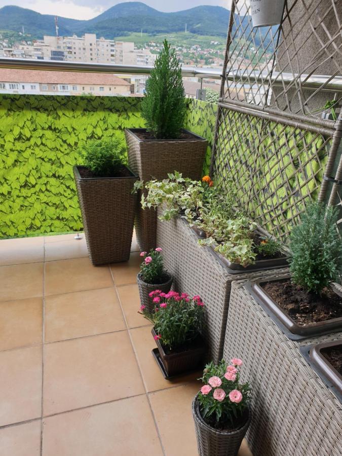 Re-View Apartment Deva Exterior foto